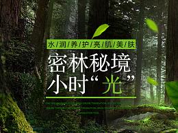 疯狂的小猫