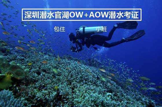 击碎怪蛋军团