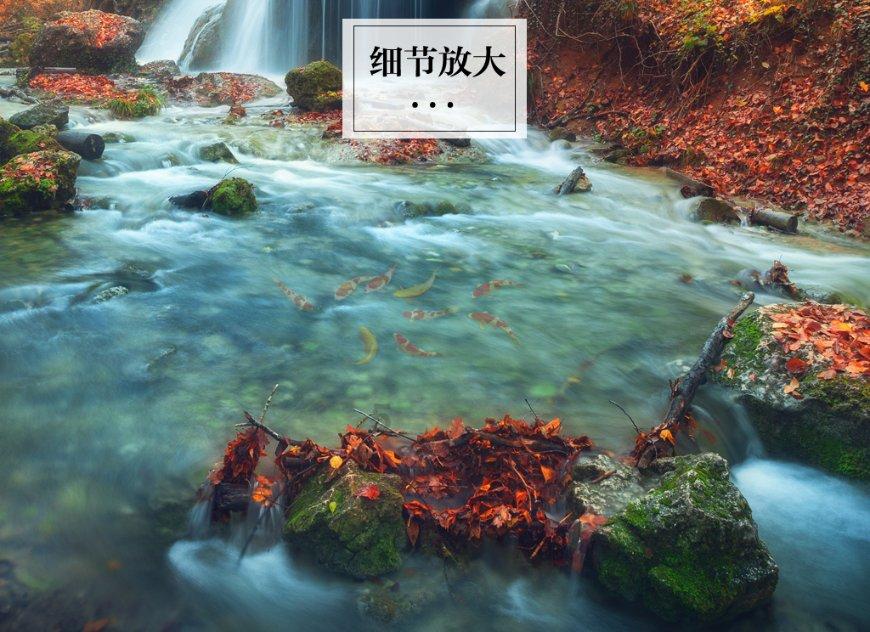 世体：罗梅乌无意冬窗离开巴萨，他对于转会传闻并不知情