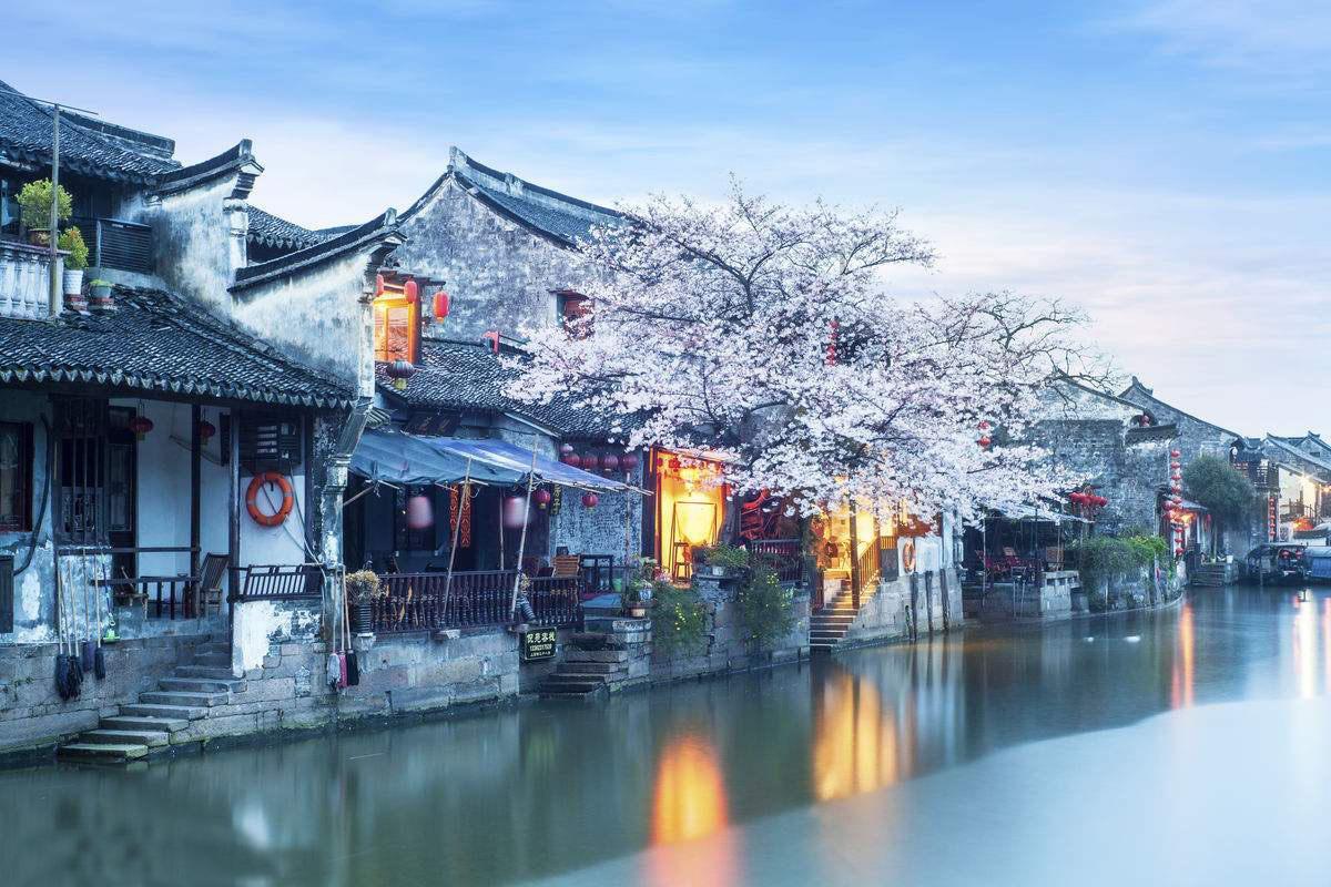 罗马2：全面战争